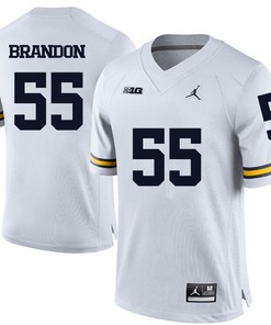 Michigan Wolverines White Brandon Graham Football Jersey