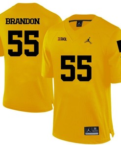 Michigan Wolverines Yellow Brandon Graham Football Jersey
