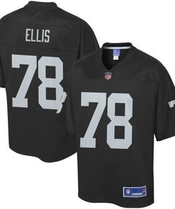 Nfl Pro Line Mens Oakland Raiders Justin Ellis Team Color Jersey