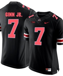 Ohio State Buckeyes Blackout Ted Ginn Jr. Player Football Jersey