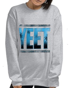 WWE Yeet Shirt for WWE Fans, WWE Yeet Sweatshirt, Hoodie