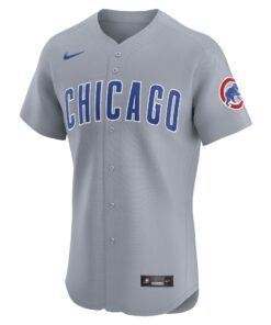 Men's Chicago Cubs Nike Gray Road 2024 Jackie Robinson Day Elite Jersey
