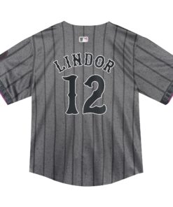 Toddler New York Mets Francisco Lindor Nike Graphite 2024 City Connect Limited Player Jersey