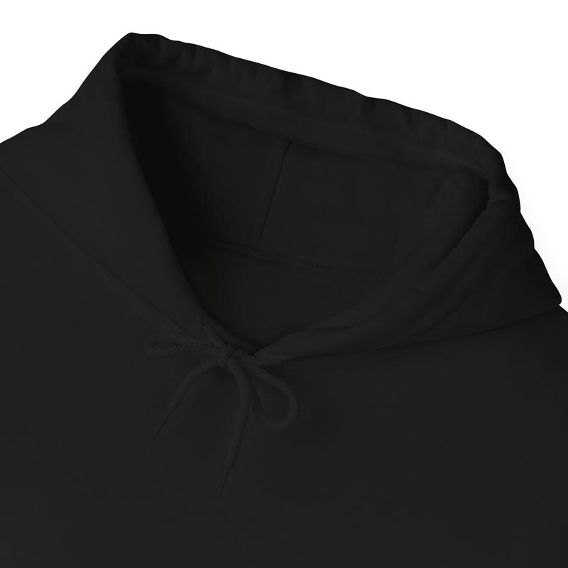 Eagles Team "They Not Like Us" Football Hoodie – A Perfect Gift for Eagles Fans
